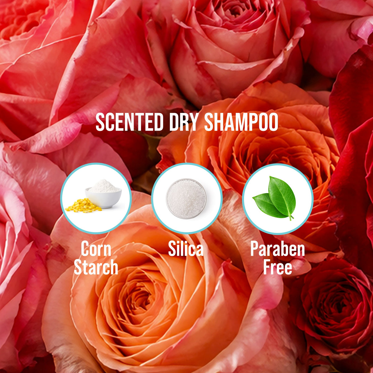 Scented Dry Shampoo Powder - Travel Size - 7g - Rose Garden - photo 3