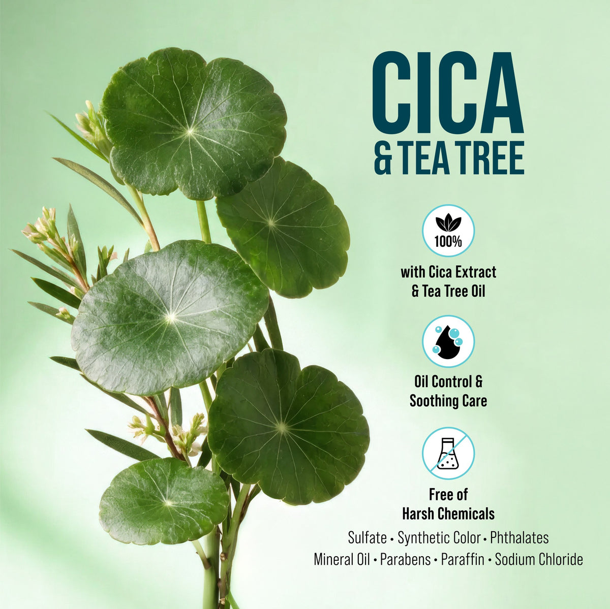 Cica &amp; Tea Tree Smooth Conditioner - 400 mL - photo 7